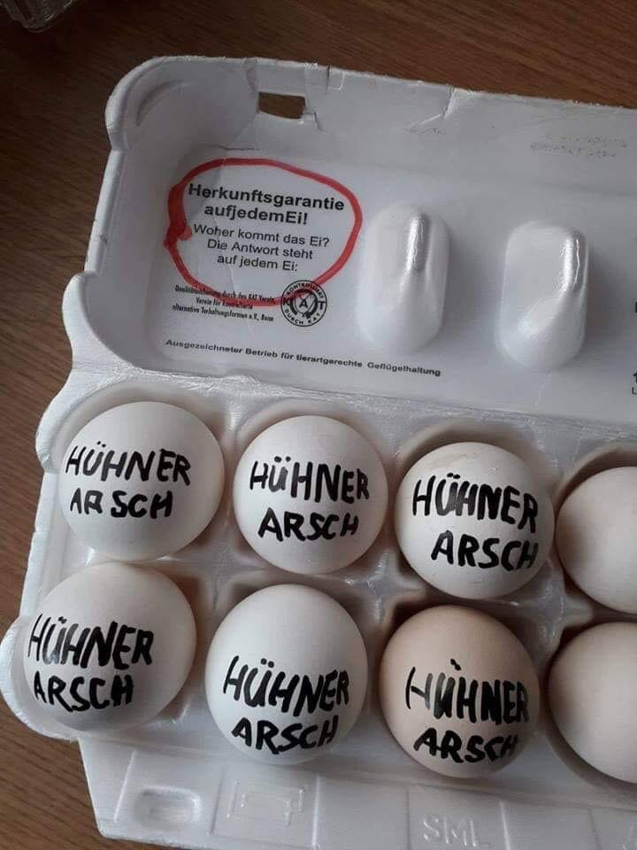 h__hnerarsch.jpg