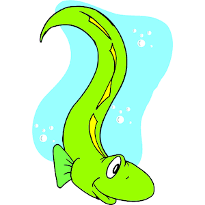 eel_3.png