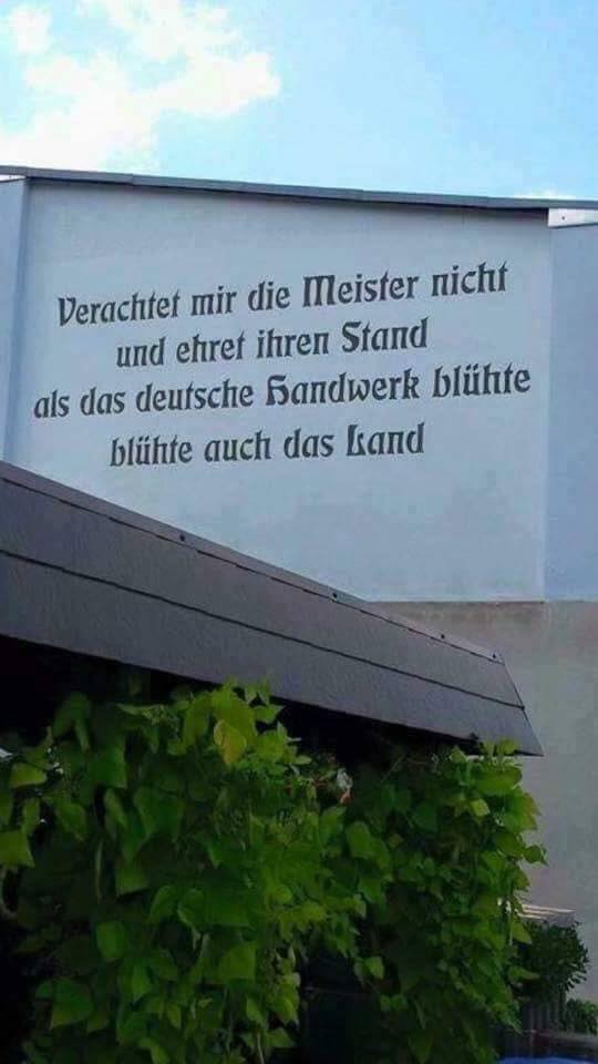 meister.jpg