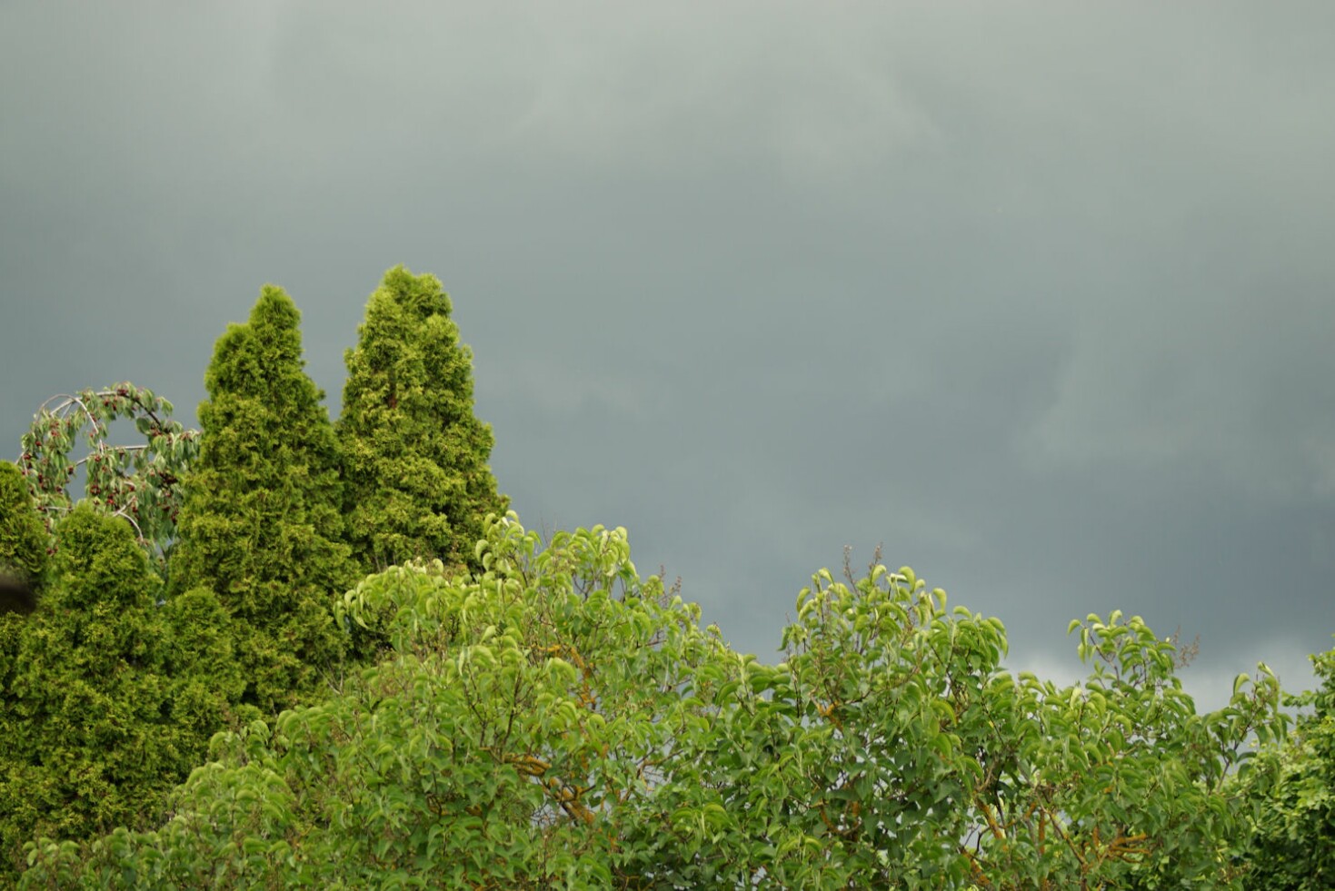 regenwolken.jpg