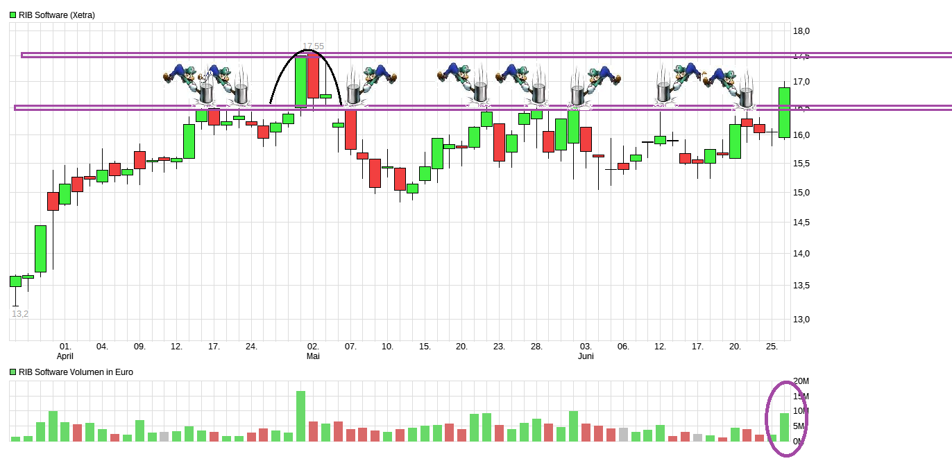 chart_quarter_ribsoftware.png