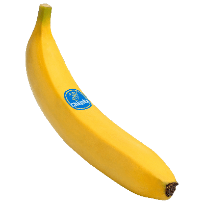 24568904_digital-image.png