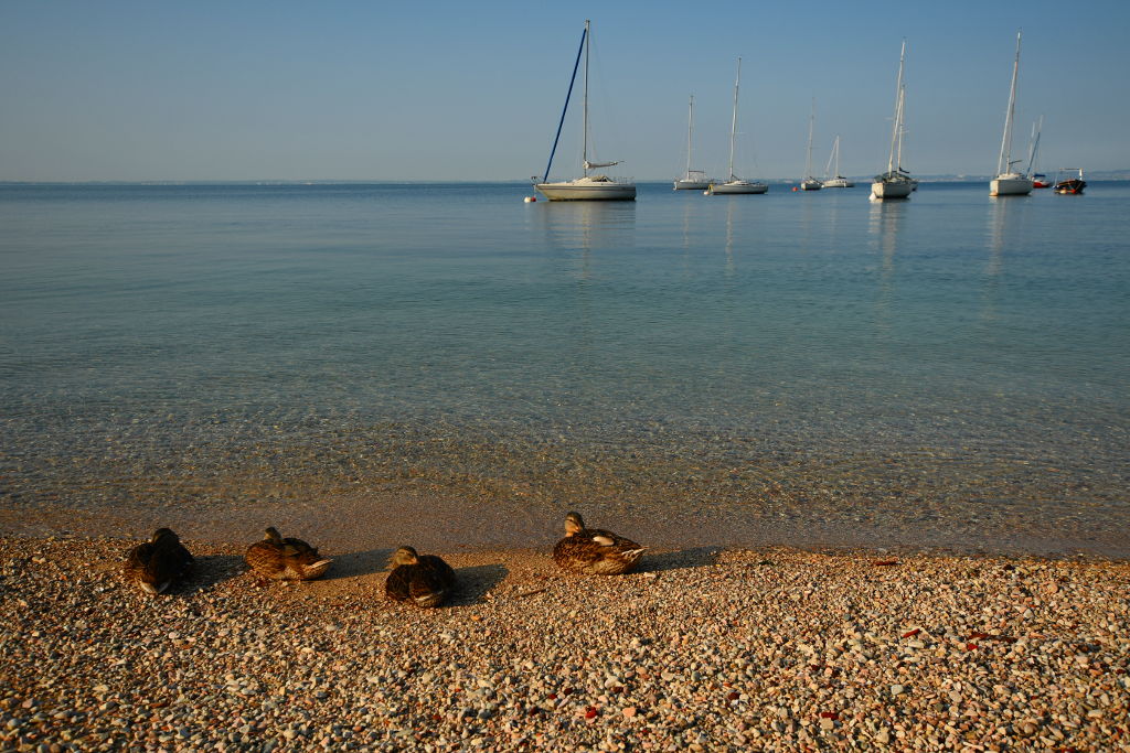 garda-enten-001.jpg