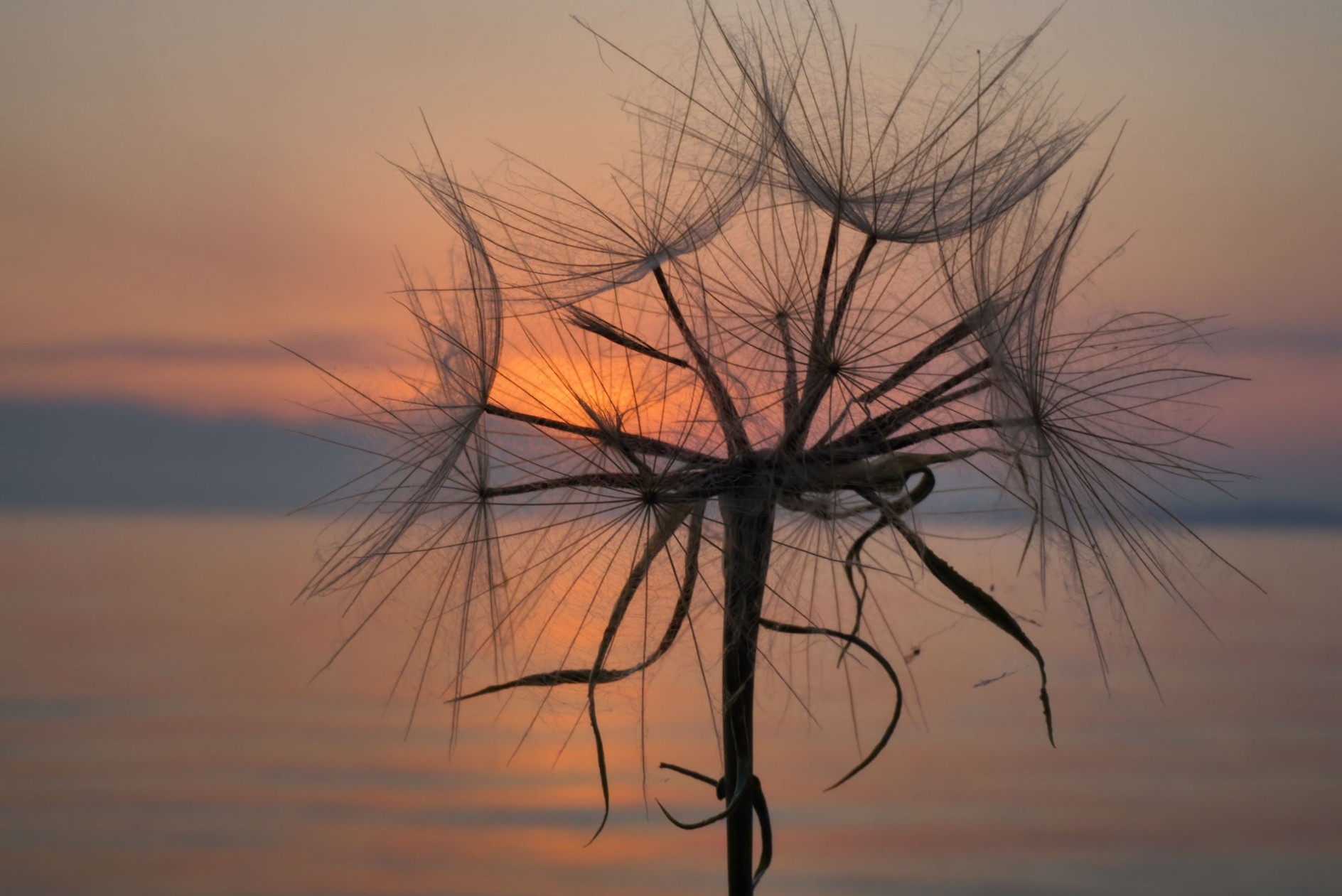 sonnenaufgang_1.jpg