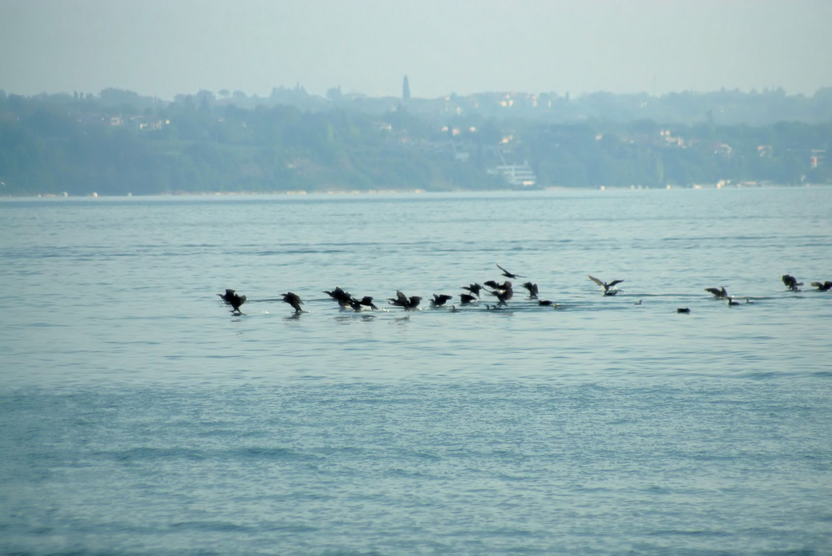 flugstunde.jpg