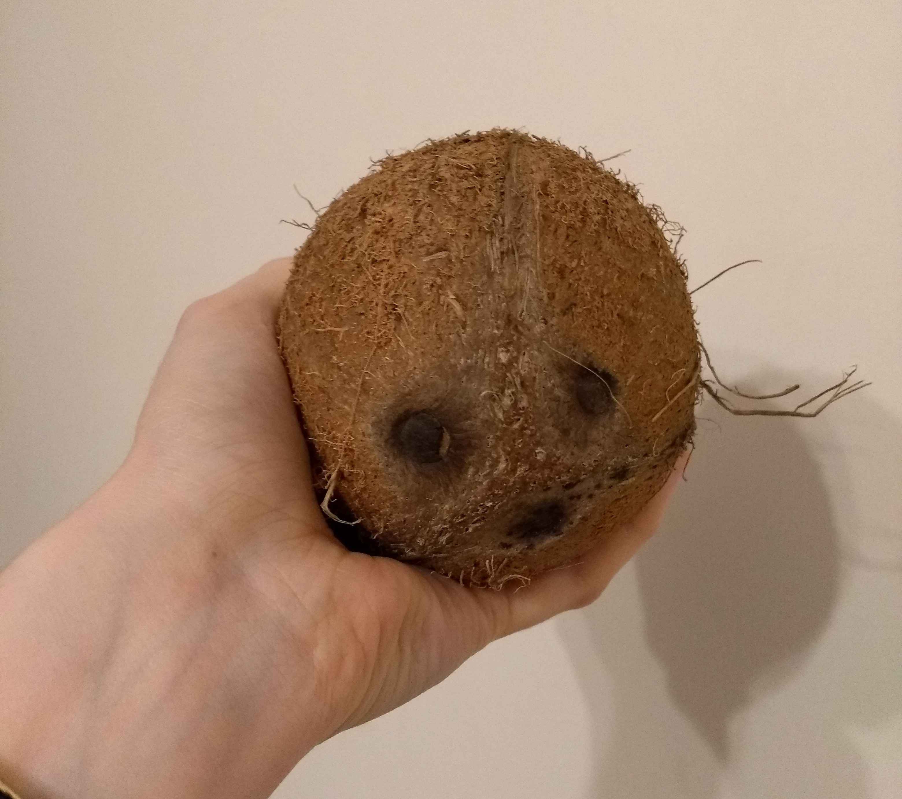 coconut.jpg