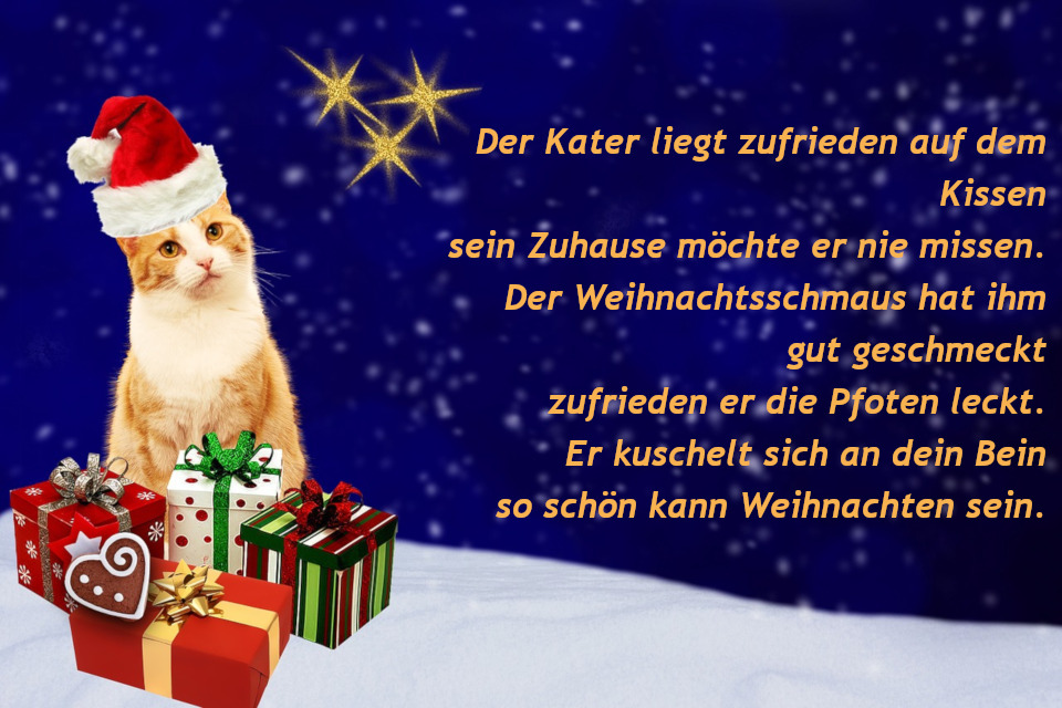 weihanchtsgru__-katze.jpg