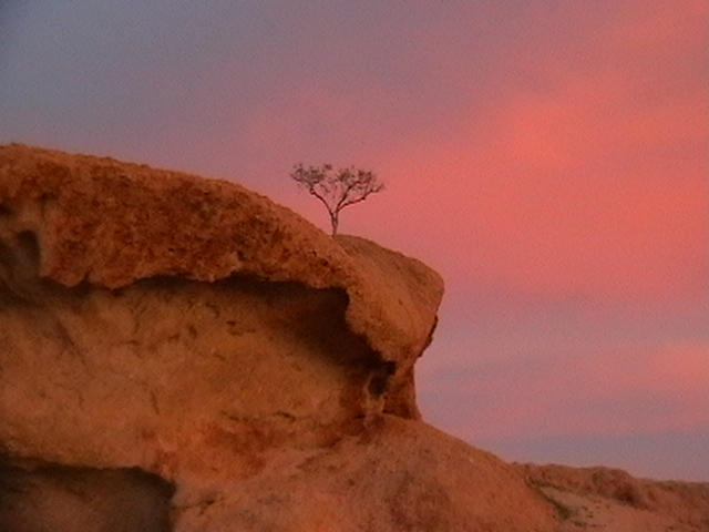 sunset.jpg