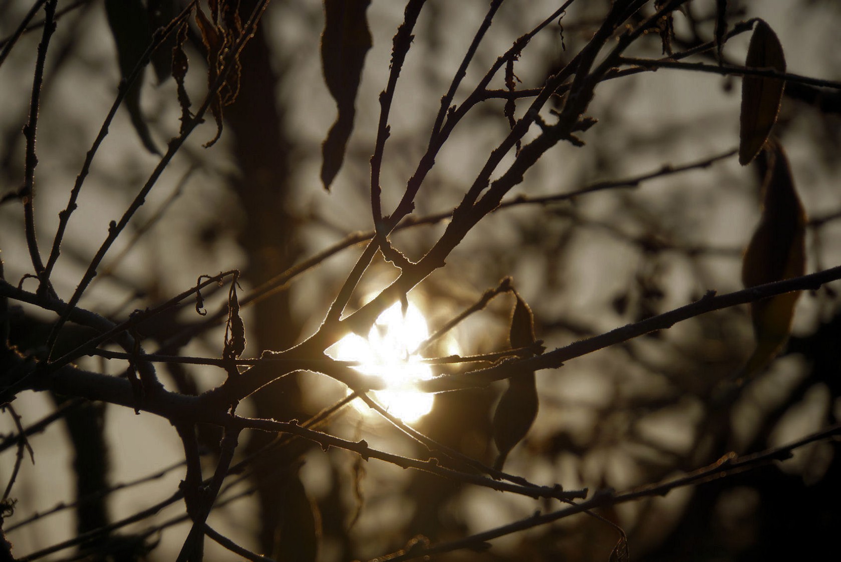 licht_und_schatten.jpg