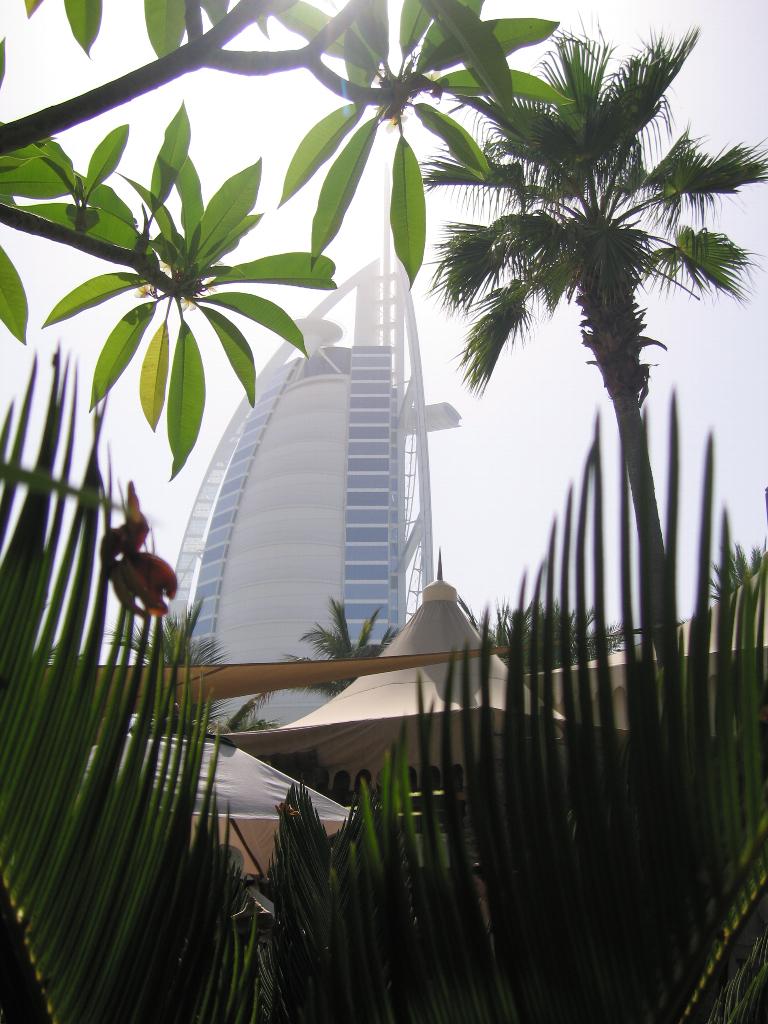 uploadfile5150173d9_1024.jpg