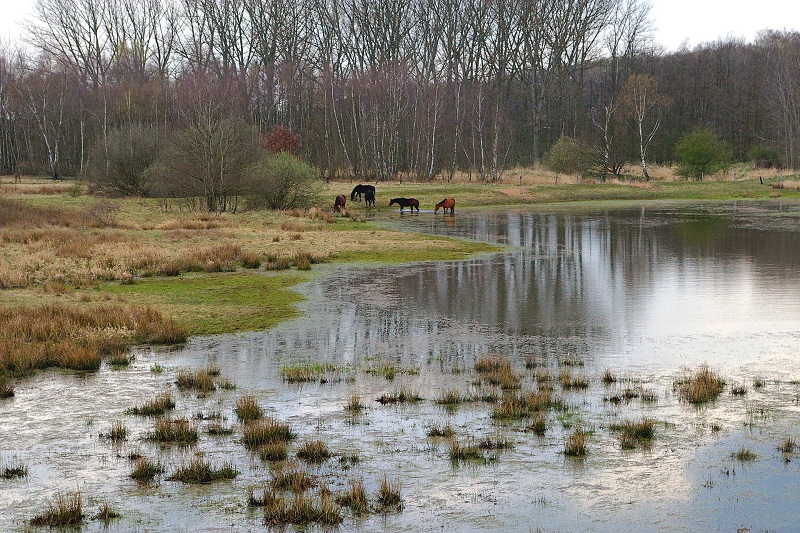 qualmwasser.jpg