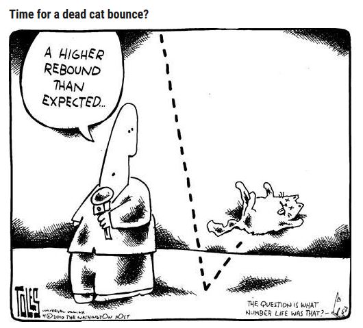 dead_cat_bounce.jpg