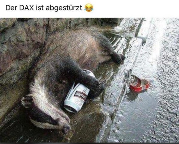 dax.jpg