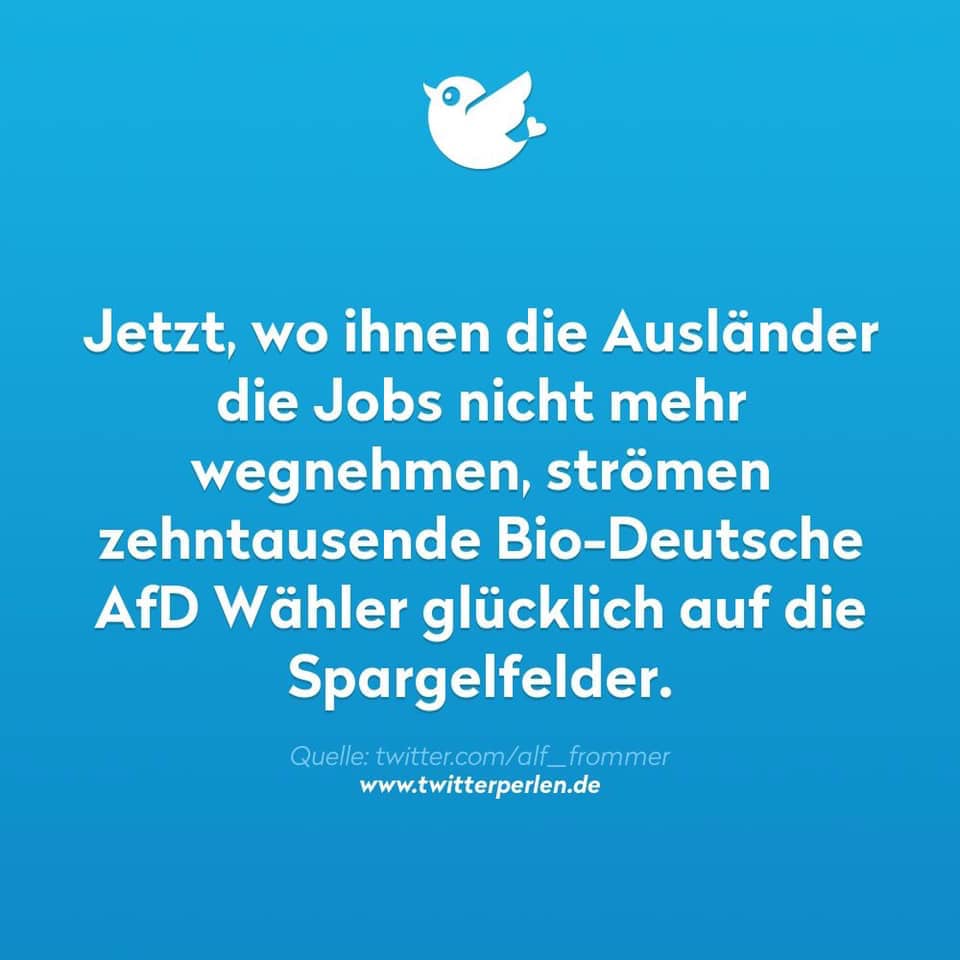 afd482.jpg