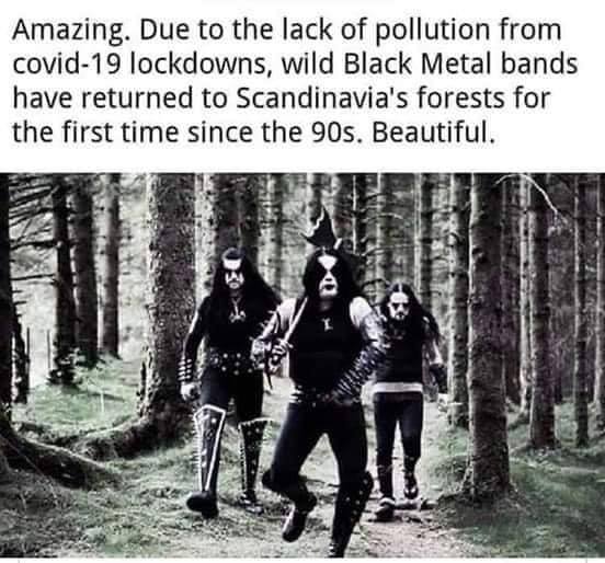 black_metal.jpg