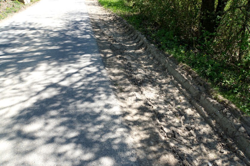 randstreifen_radweg.jpg