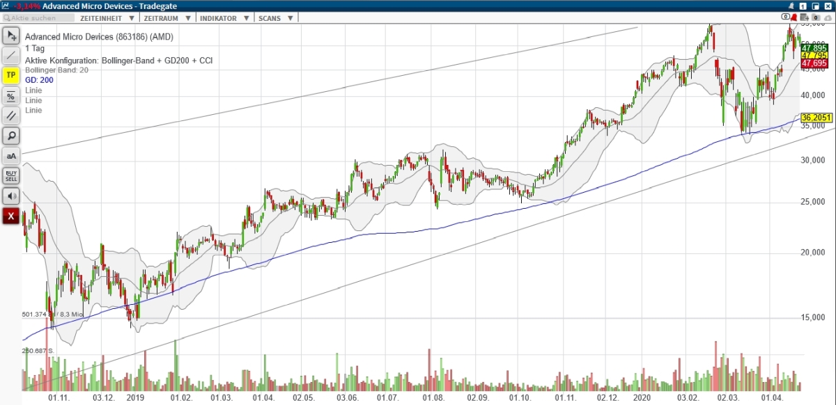 long-trend_close-up.jpg