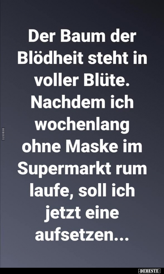 baum_der_bl__dheit.jpg
