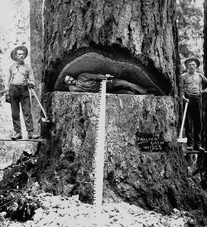 lumber.jpg