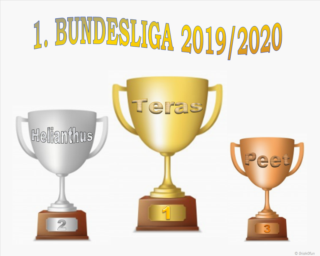 pokal.png