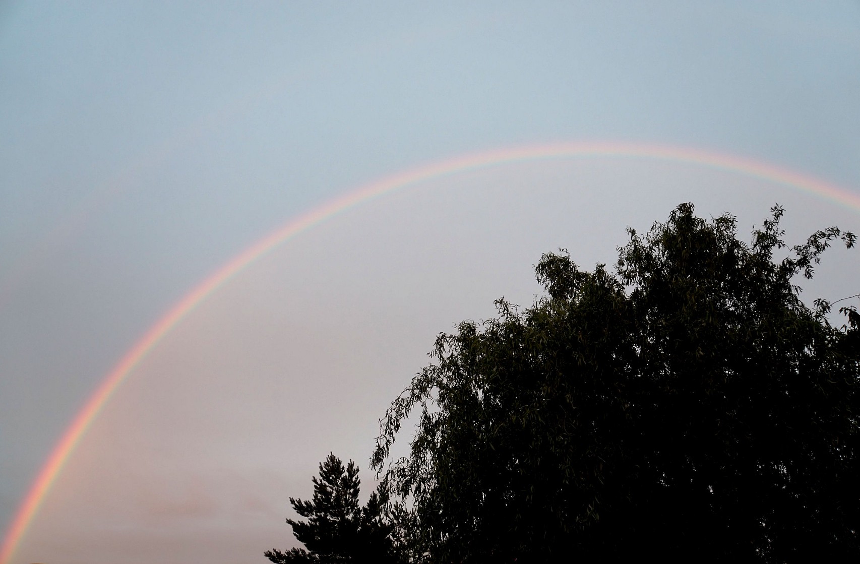 regenbogen.jpg