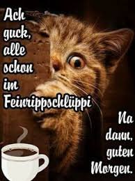 guten_morgen_alle_schon_im_feinrippschl__ppi.jpg