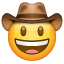 cowboy-hut-gesicht.png