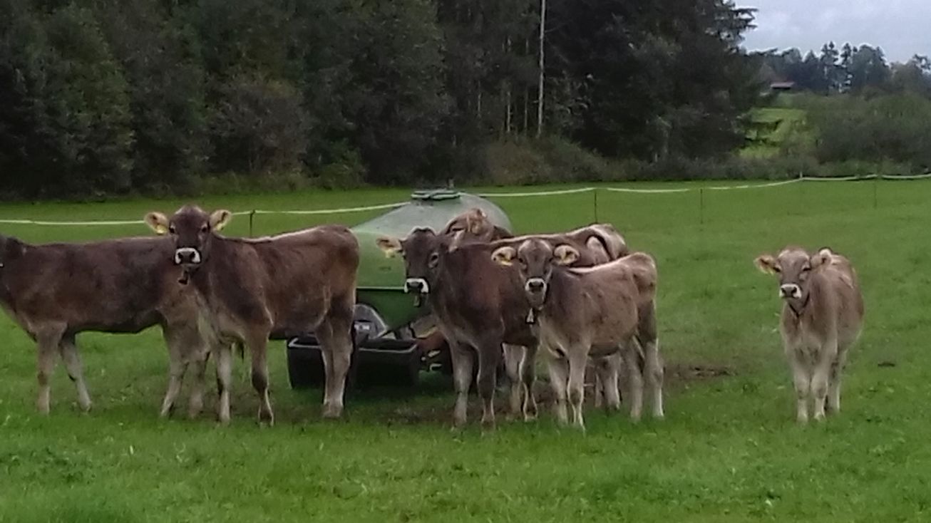 20200929_102809schumpen1.jpg