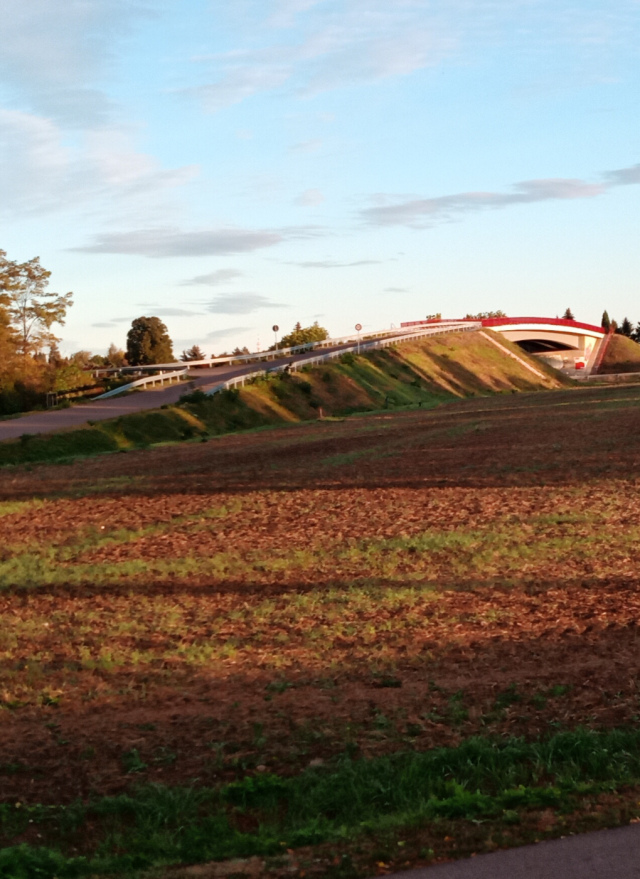 img_20201004_111442.jpg