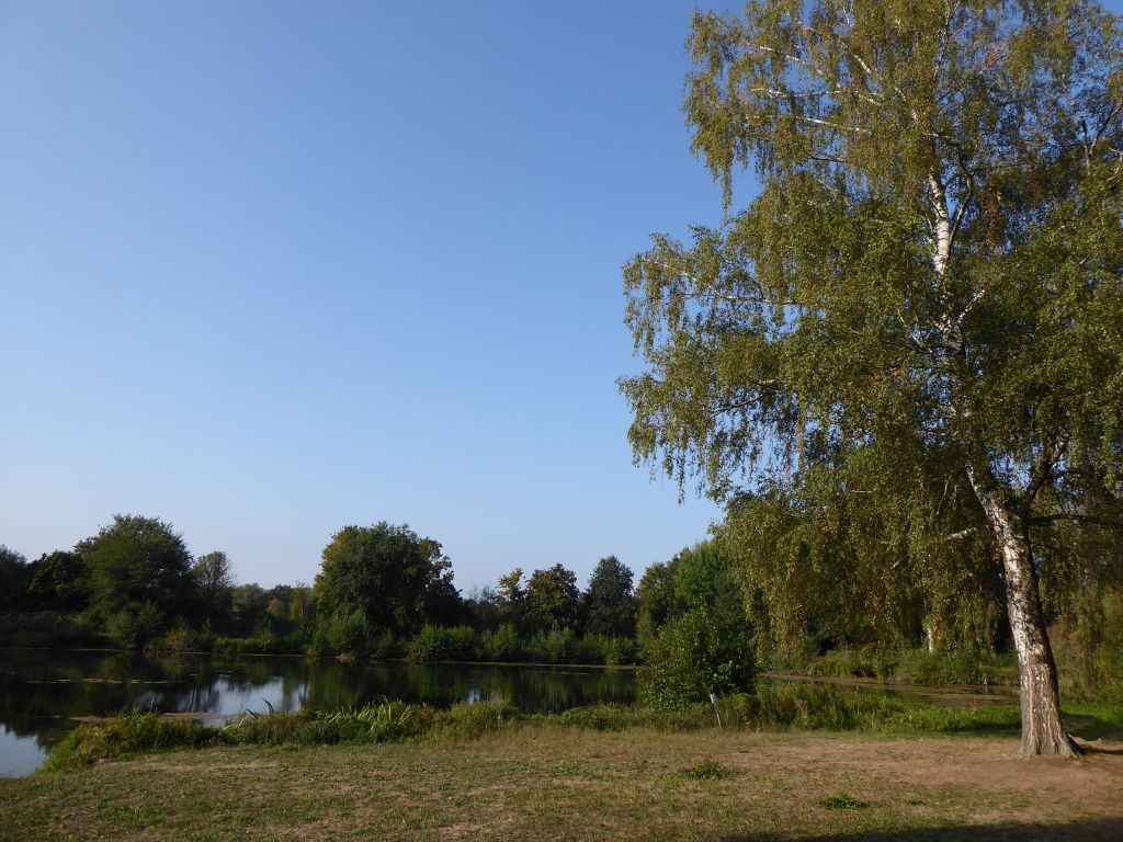 1070589.jpg