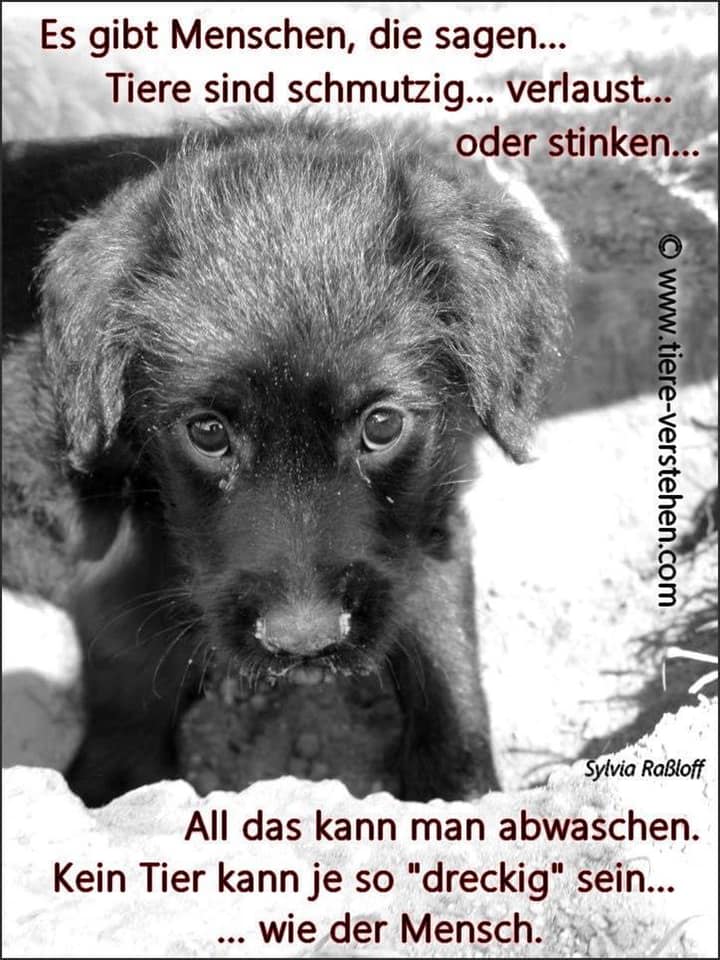 dreckig.jpg