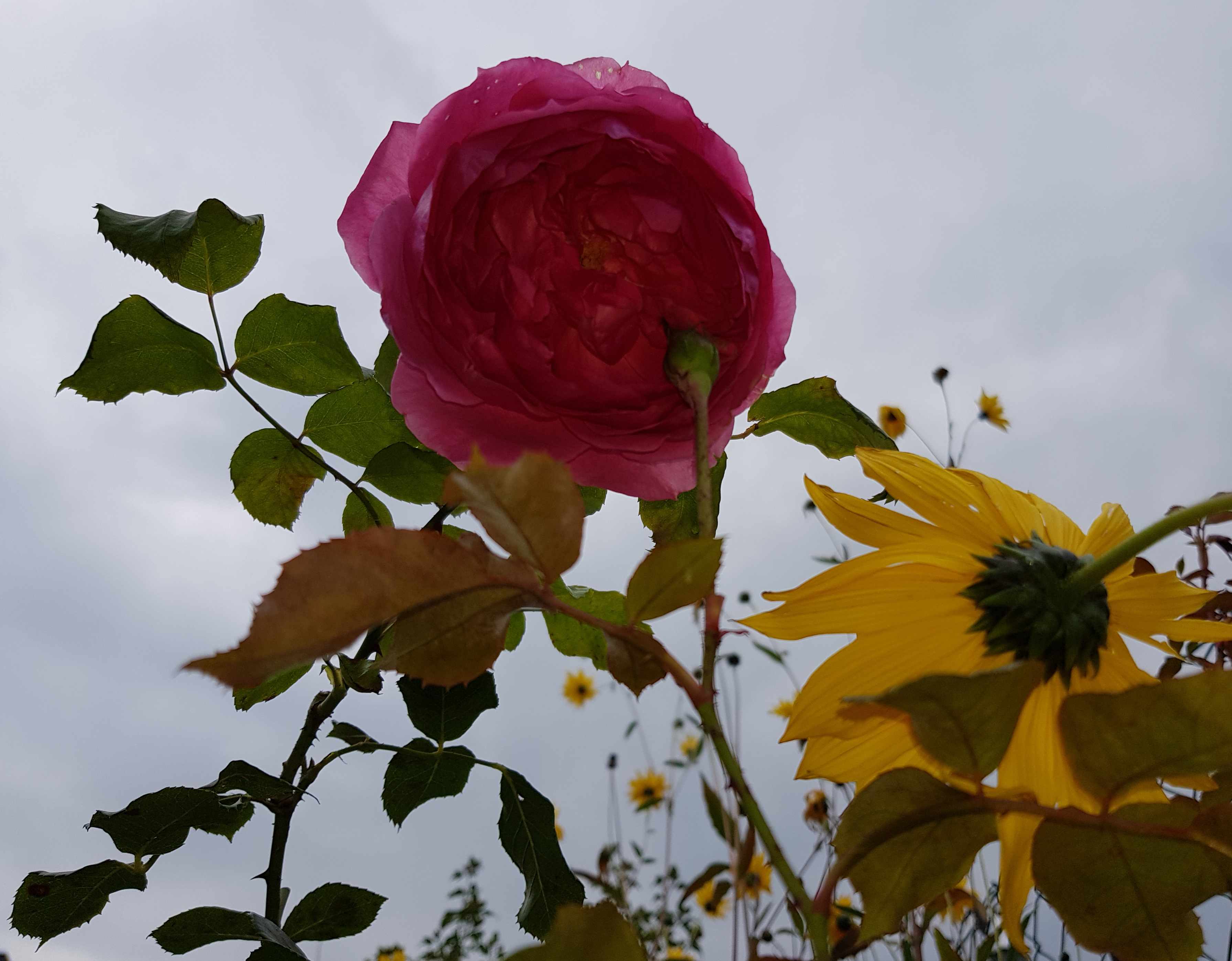 20201018_143557_8505_.jpg
