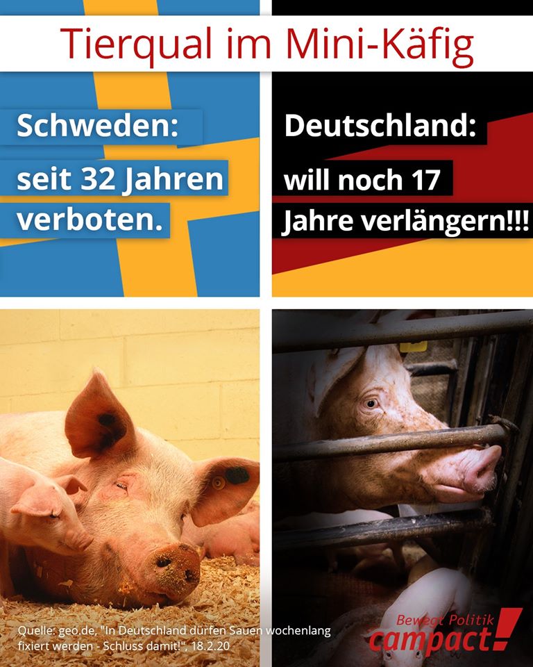 tierqual.jpg