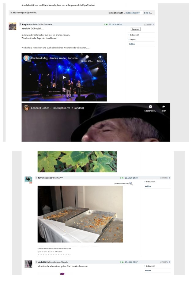 screenshot_ab.jpg
