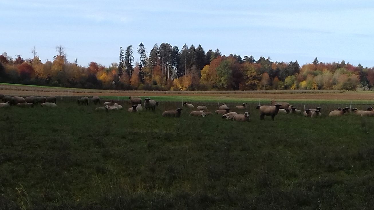 20201025_093459weide.jpg