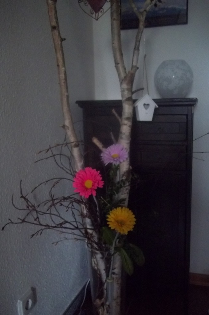 100_0325.jpg