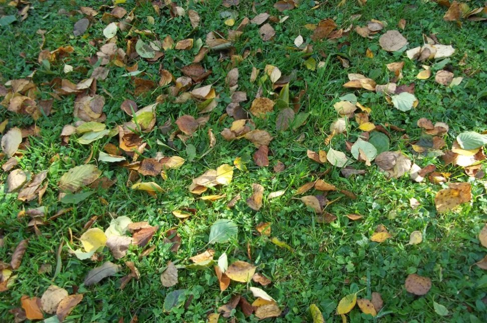 100_3087.jpg