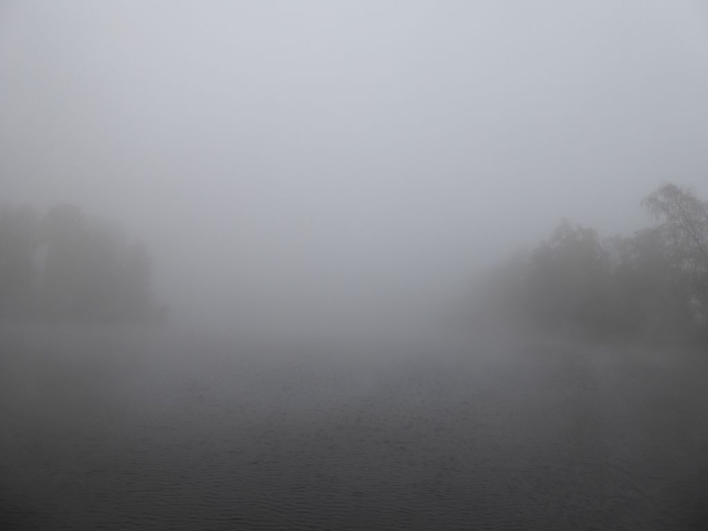 1080299.jpg