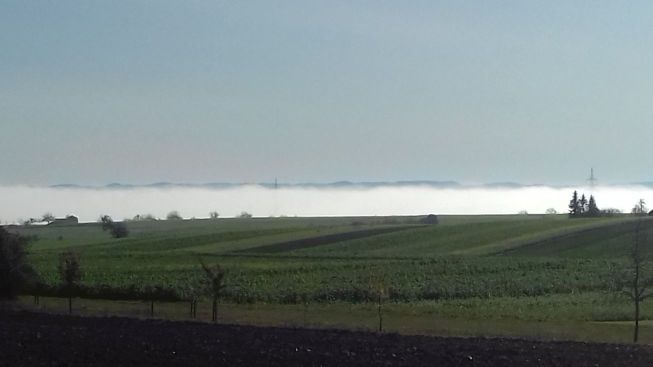 20201107_103310nebel1.jpg