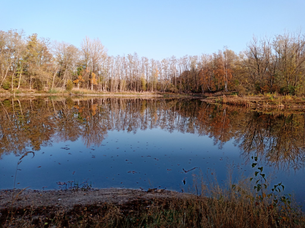 img_20201110_215408.jpg