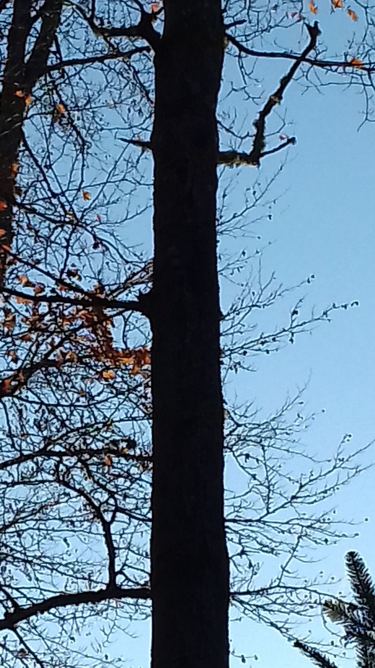 20201110_093505suchbild.jpg
