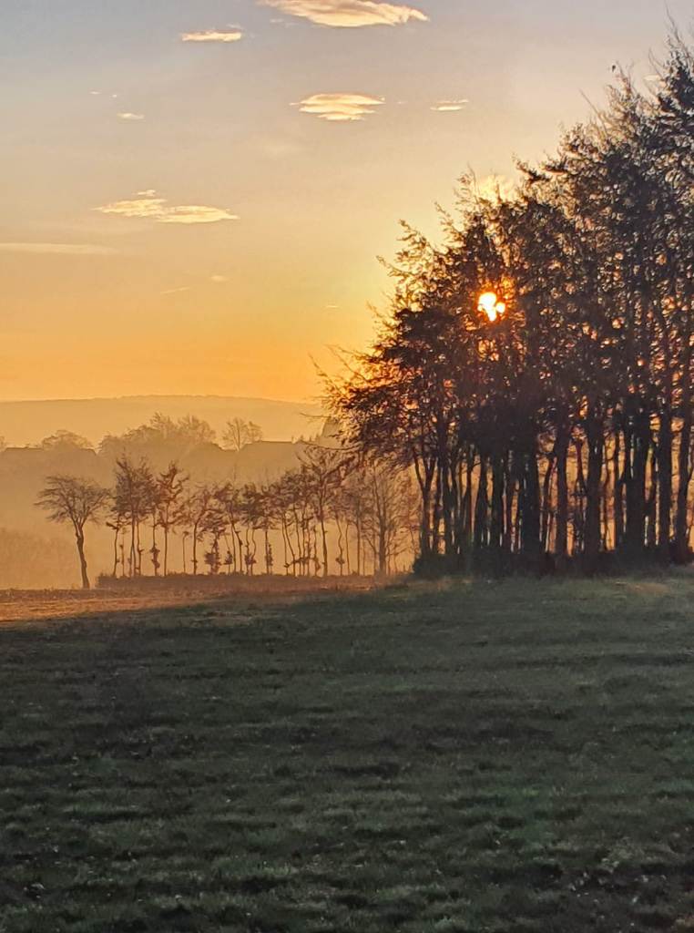 morgens_halb_acht_in_der_eifel.jpg