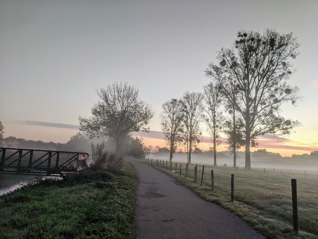 morgens_in_der_eifel.jpg