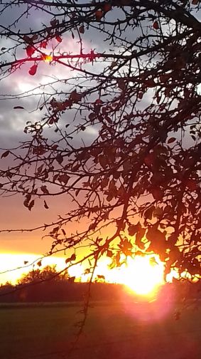 20201110_164029sonnenuntergang.jpg