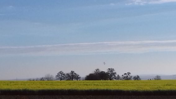 20201114_100925ballon.jpg