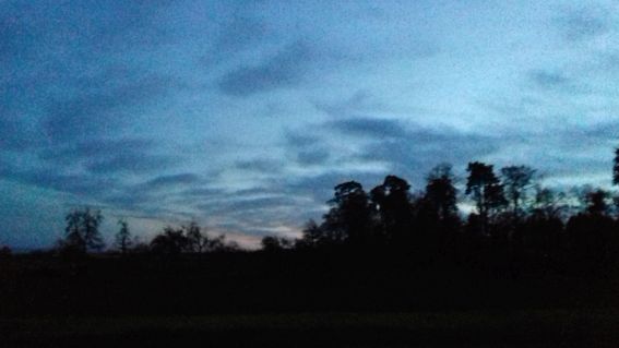 20201115_171511abend3.jpg