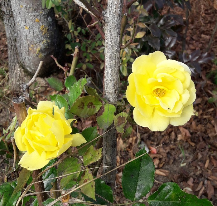 20201117_125848.jpg