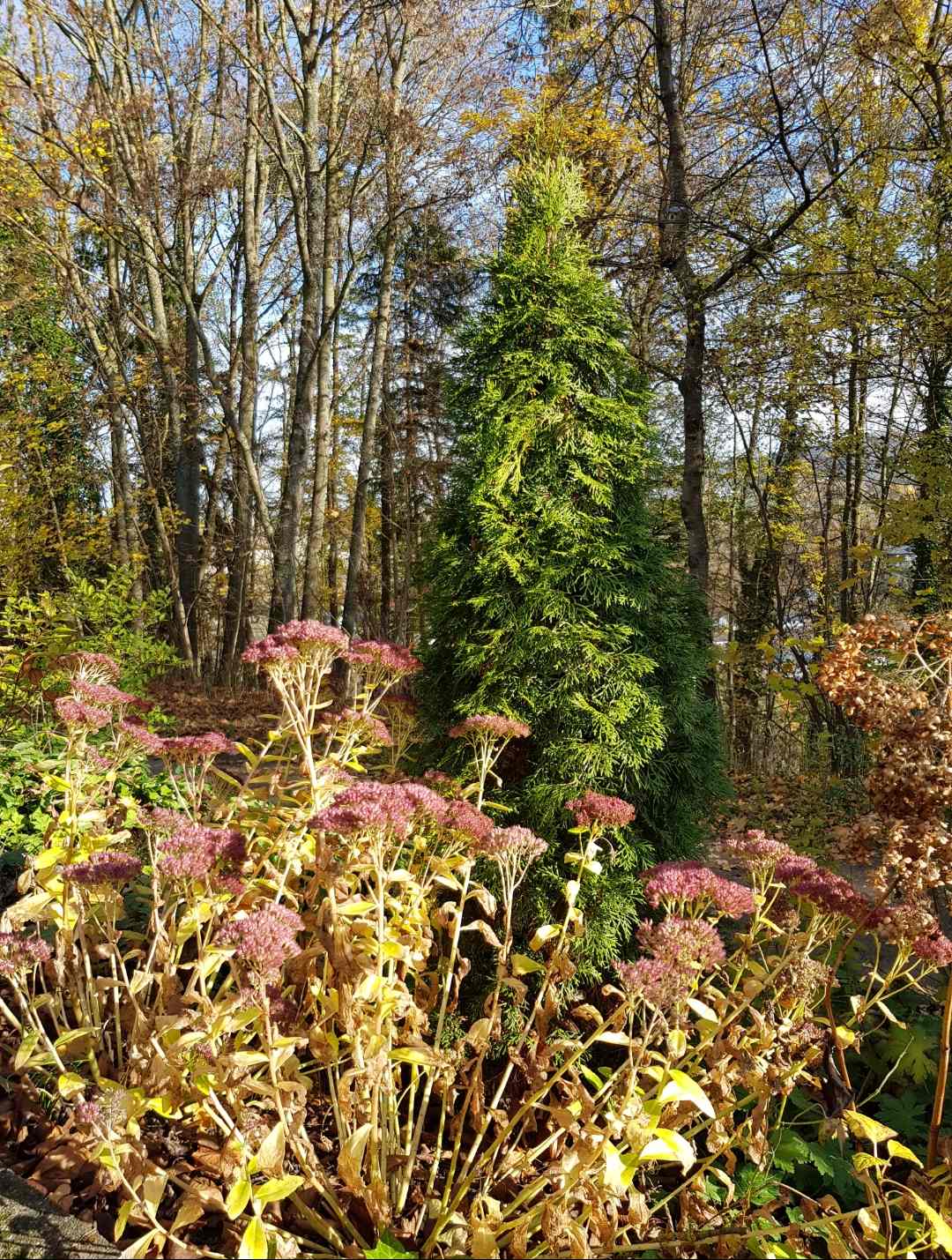 20201115-020932_8505_gallery.jpg