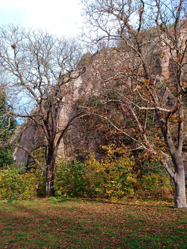 img_20201115_113512.jpg