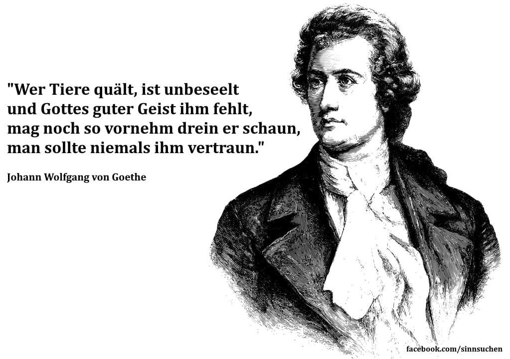 tiere_qu__len.jpg